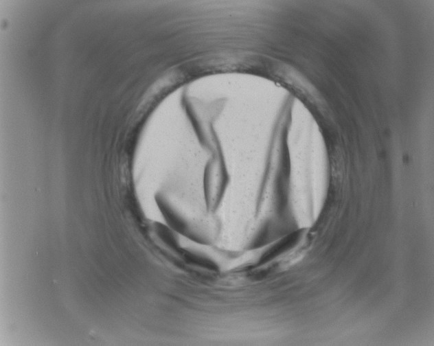 X0000071810119200607290002