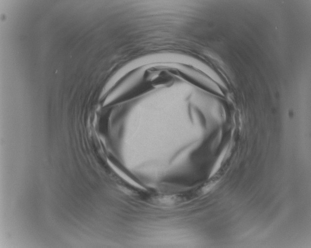 X0000071810121200607290002