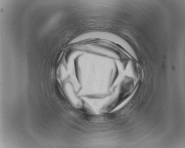 X0000071810123200607290002