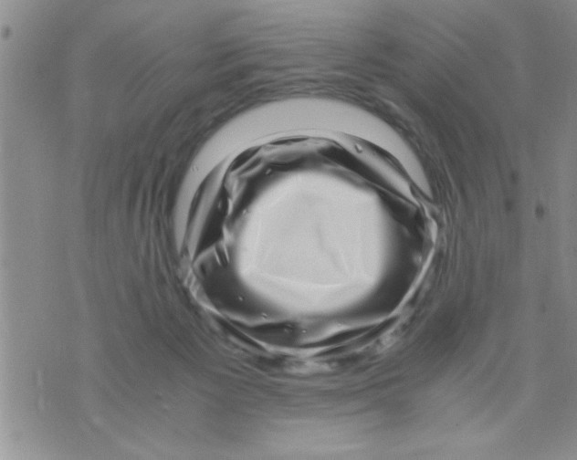 X0000071810125200607290002