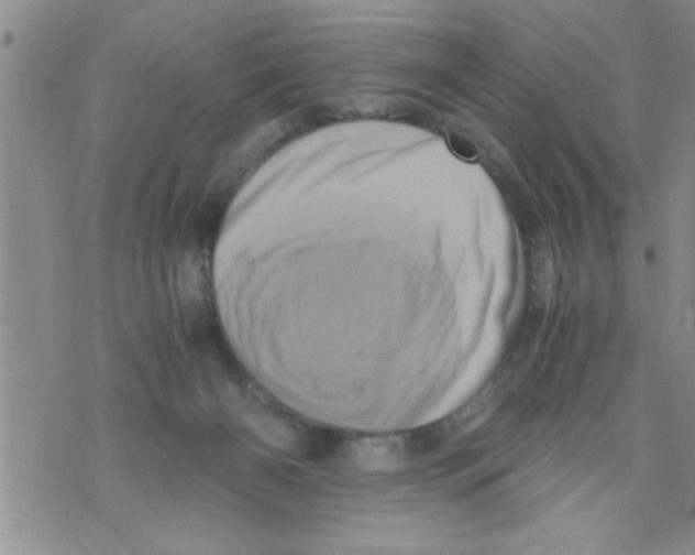 X0000071810126200607290002