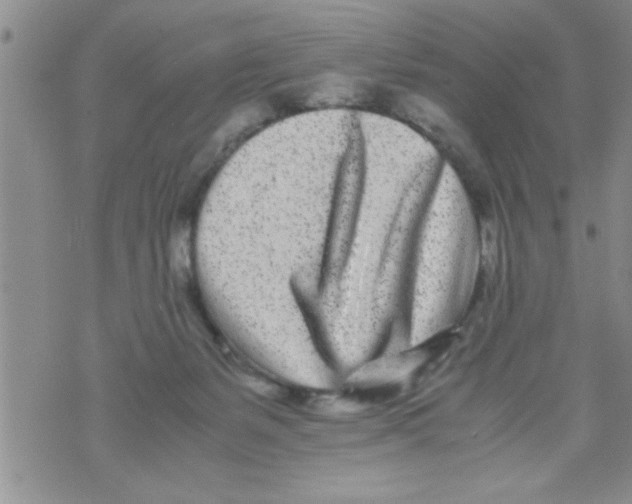 X0000071810127200607290002