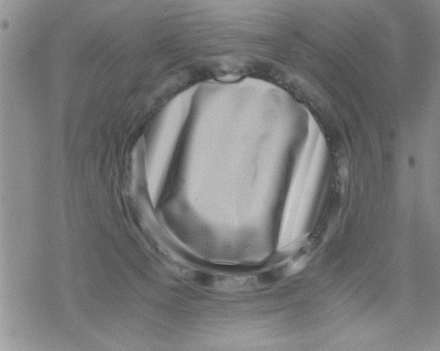 X0000071810129200607290002