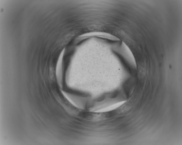 X0000071810130200607290002