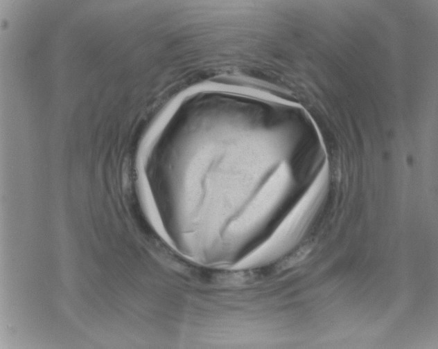 X0000071810131200607290002