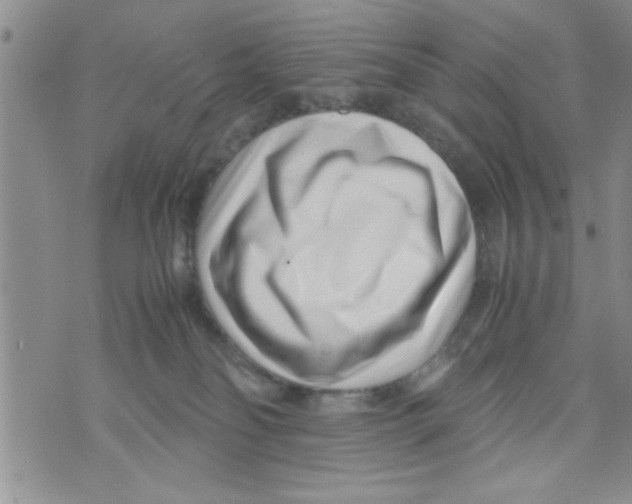 X0000071810134200607290002