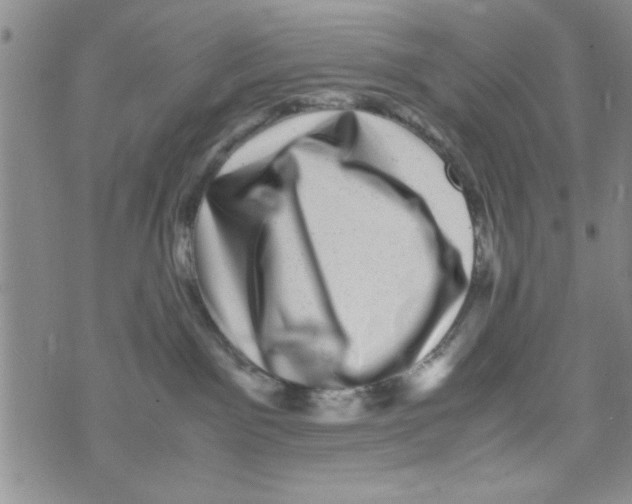 X0000071810141200607290002