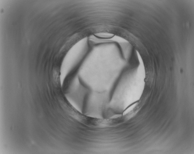X0000071810142200607290002