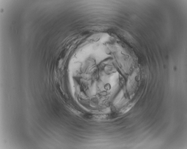 X0000071810143200607290002