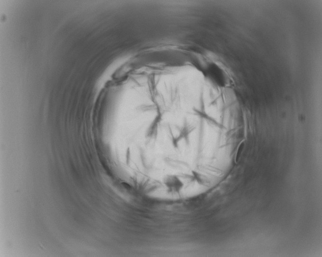 X0000071810147200607290001