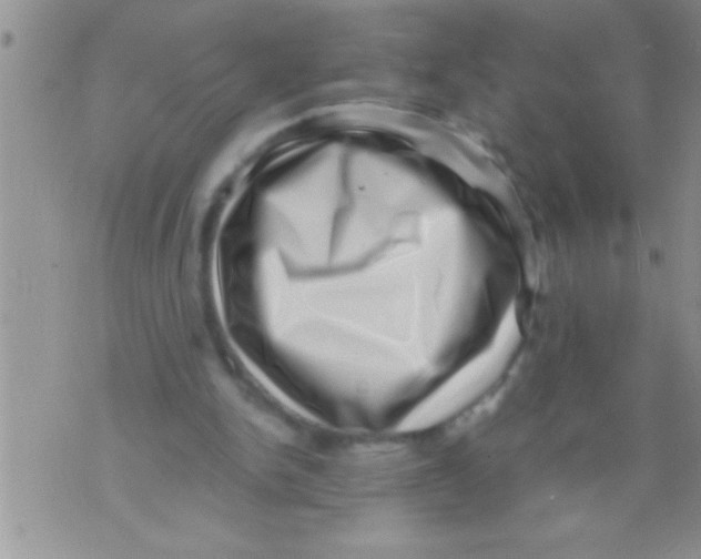 X0000071810150200607290001