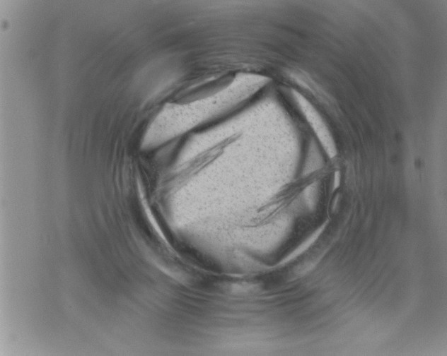 X0000071810165200607290001