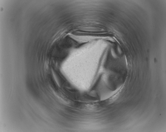 X0000071810166200607290001