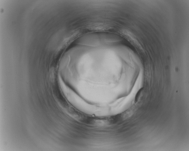 X0000071810167200607290001