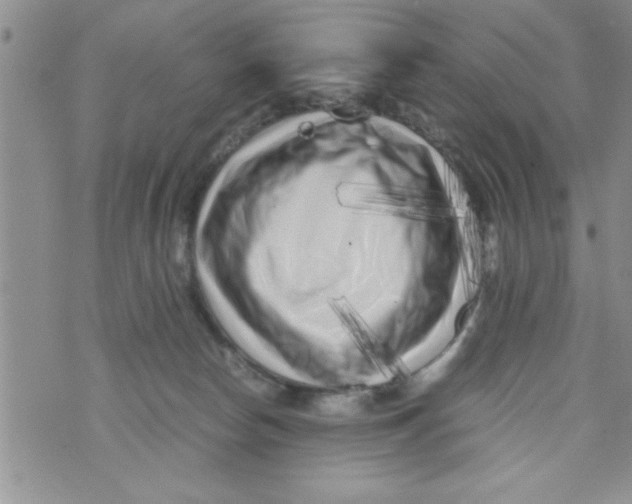 X0000071810178200607290001
