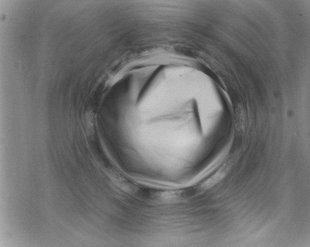 X0000071810184200607290001