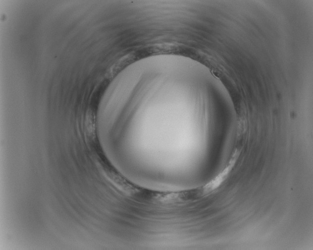 X0000071810186200607290001