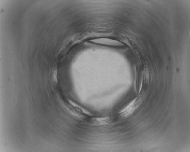 X0000071810188200607290001