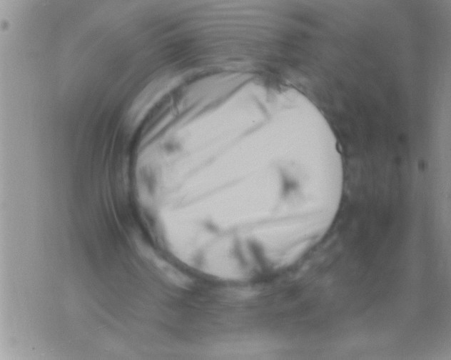 X0000071810194200607290001