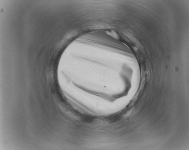 X0000071810207200607290001
