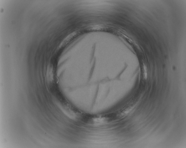 X0000071810216200607290000