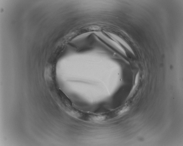 X0000071810217200607290000