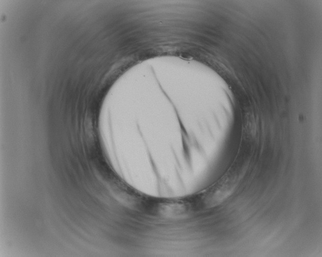 X0000071810220200607290000