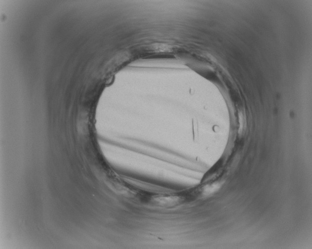 X0000071810221200607290000
