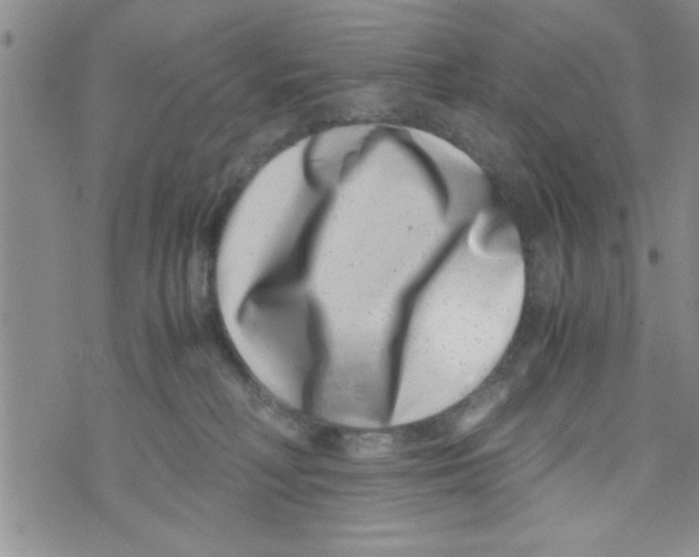 X0000071810230200607290000