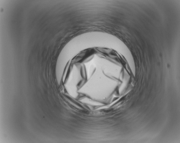 X0000071810231200607290000