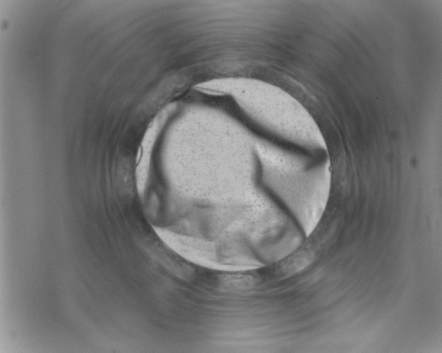 X0000071810234200607290000