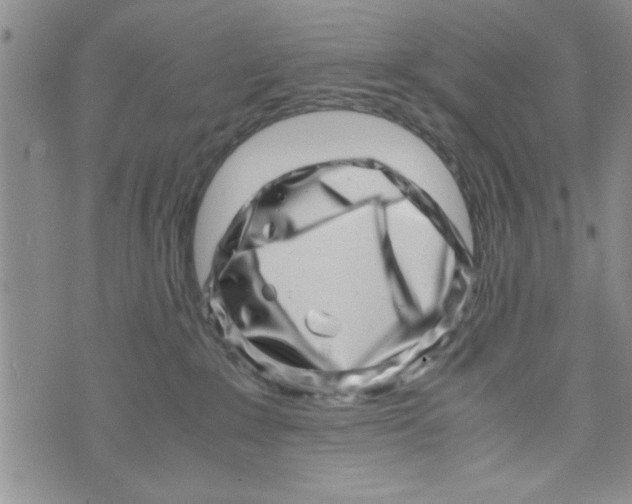 X0000071810235200607290000