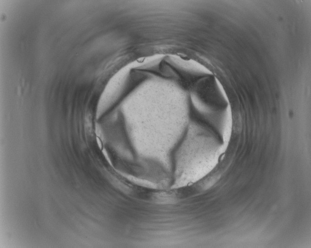 X0000071810238200607290000