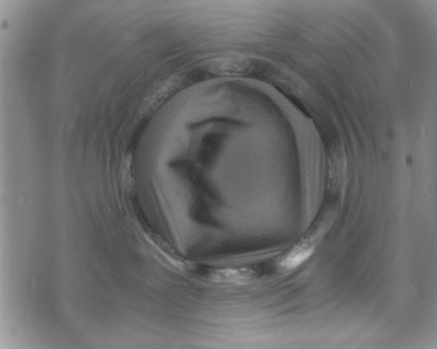 X0000071810239200607290000
