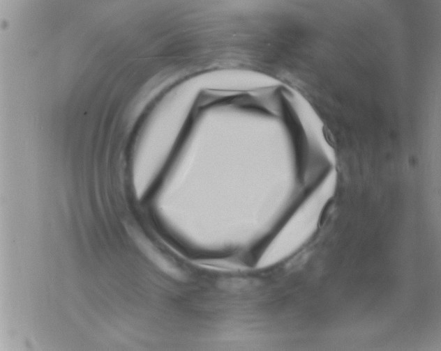 X0000071810242200607282359