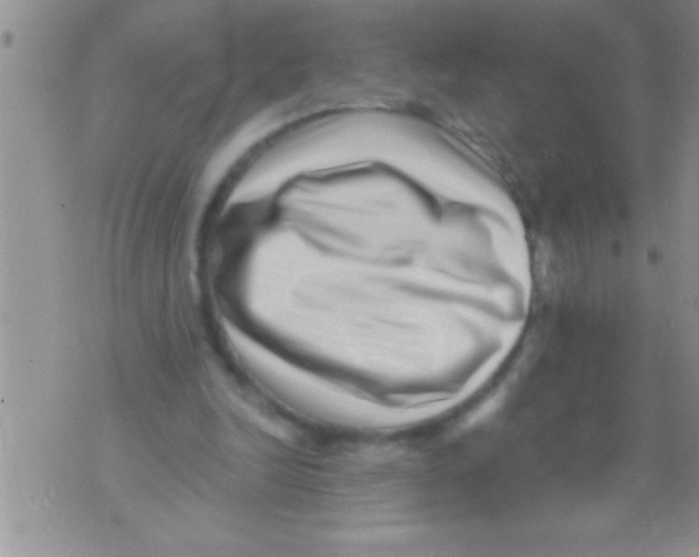 X0000071810246200607282359