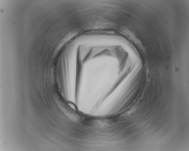 X0000071810250200607282359