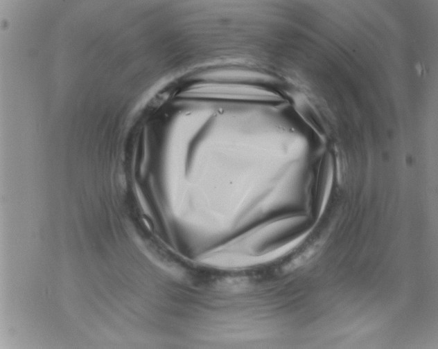 X0000071810252200607282359