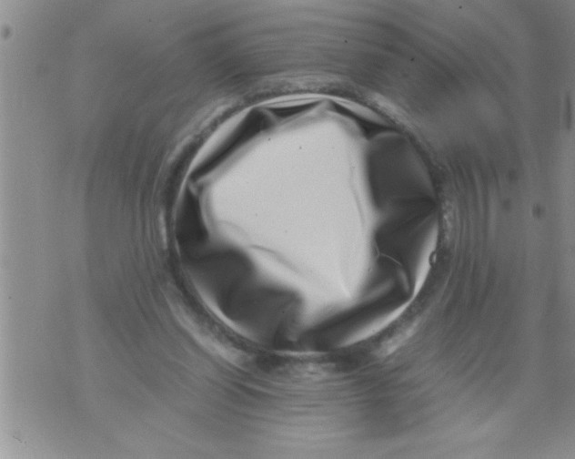 X0000071810254200607282359