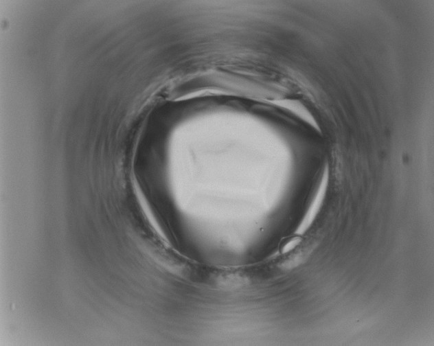 X0000071810258200607290000