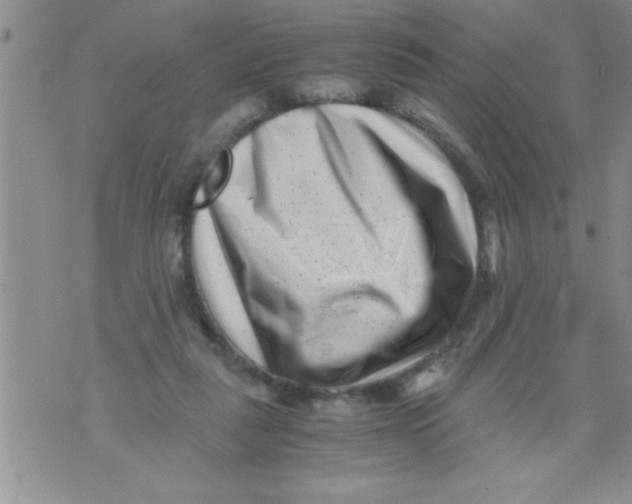 X0000071810259200607290000