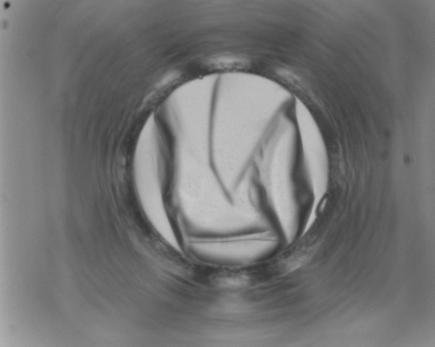 X0000071810263200607290000