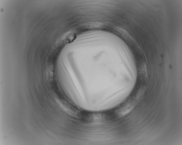 X0000071810264200607290000