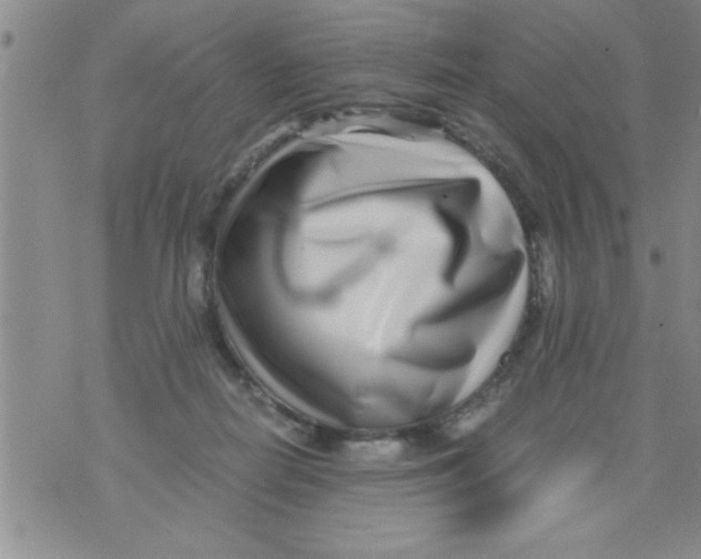X0000071810266200607290000