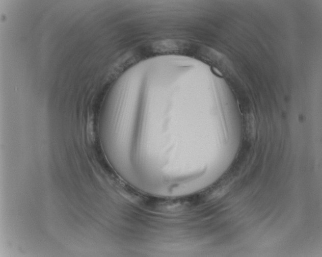 X0000071810267200607290000