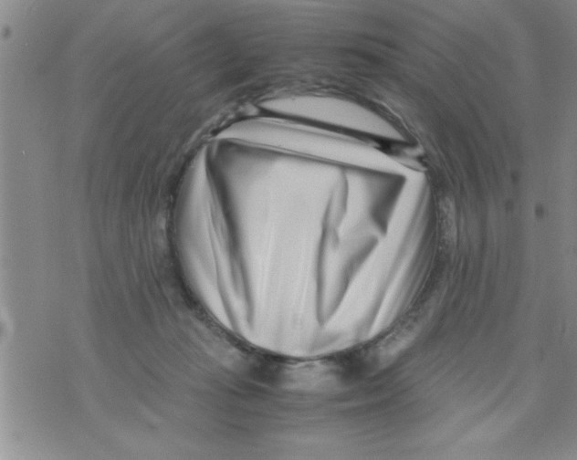 X0000071810269200607290000