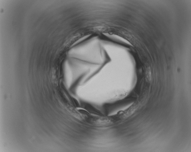 X0000071810270200607290000
