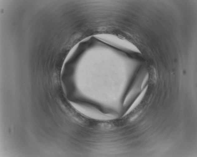 X0000071810272200607290000