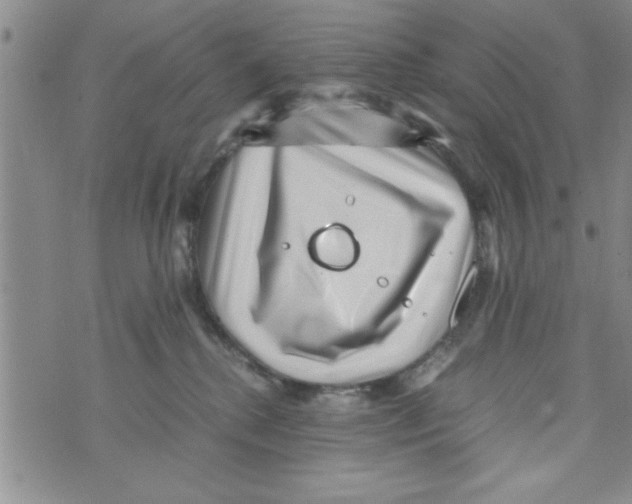 X0000071810280200607290000