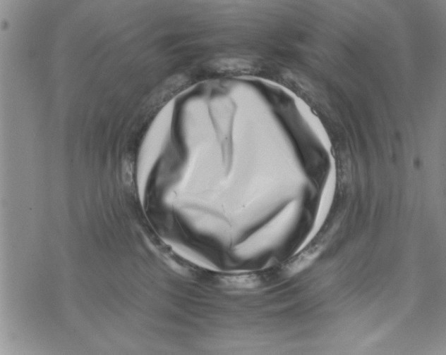 X0000071810281200607290000